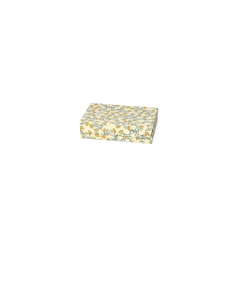 Storage box with magnet
