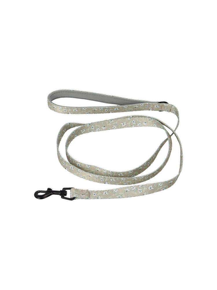 Dog lead