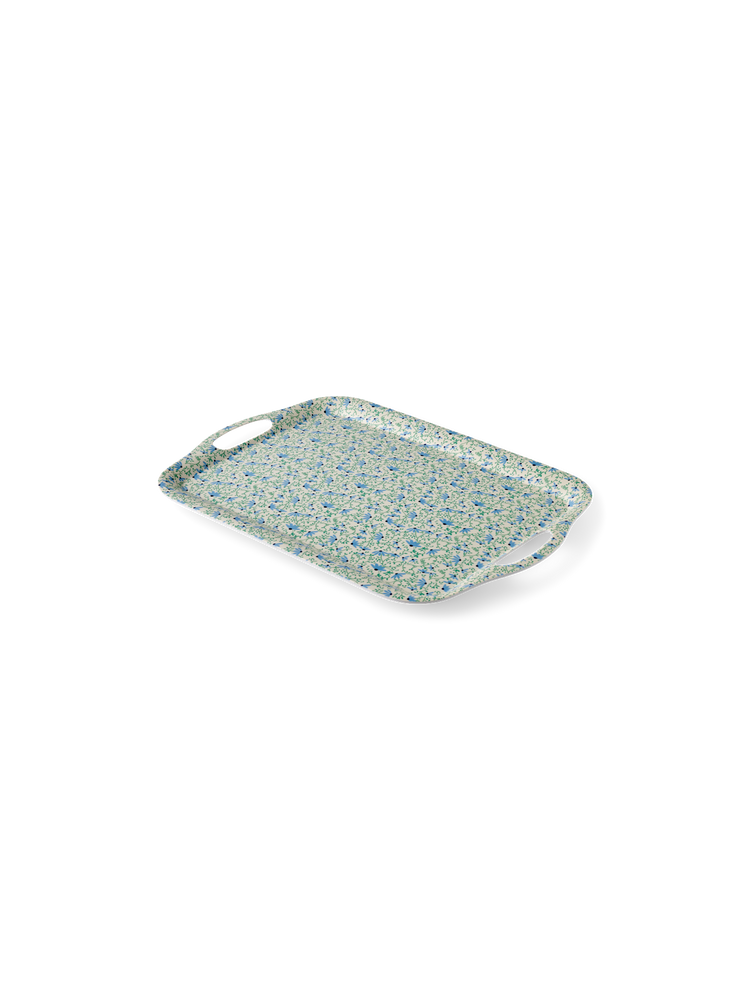 Tray