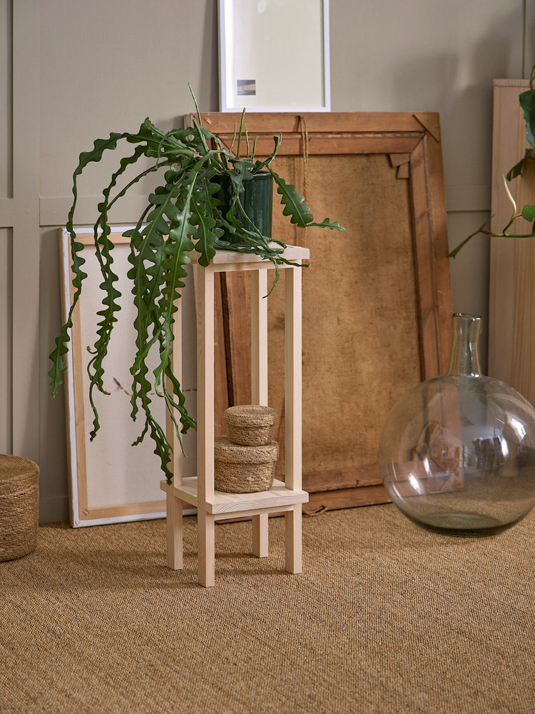 Pine plant stand