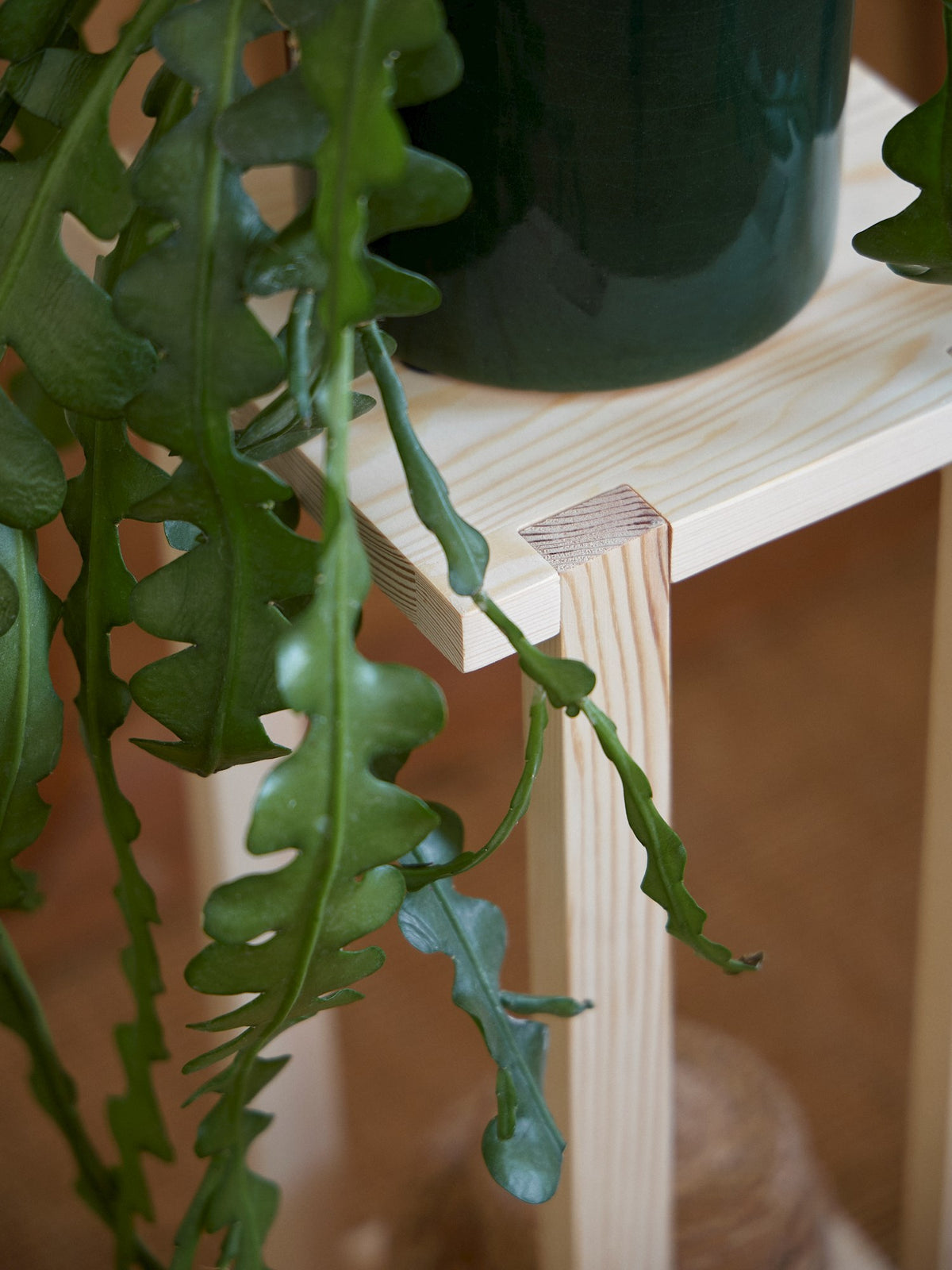 Pine plant stand