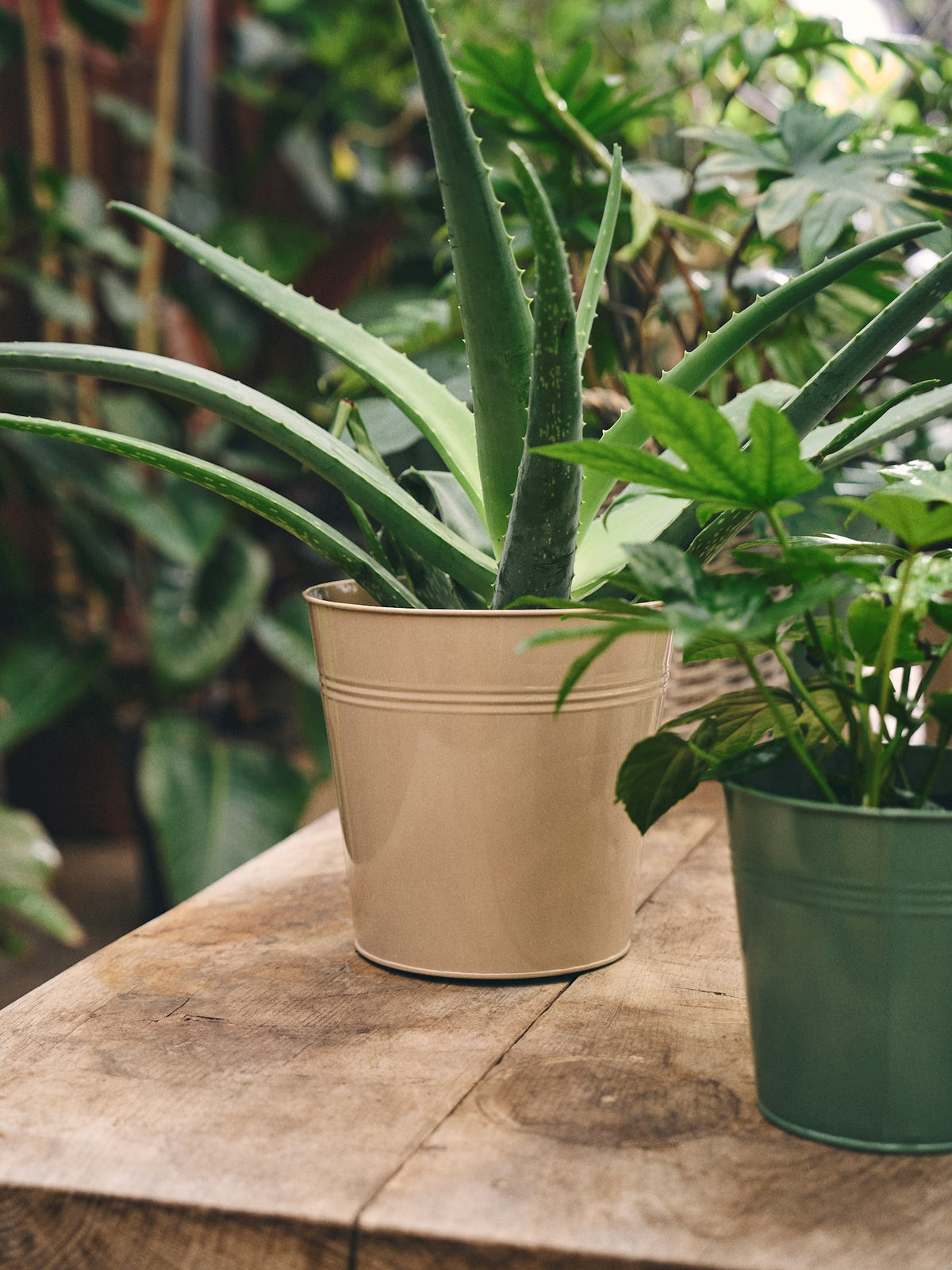 Flowerpot