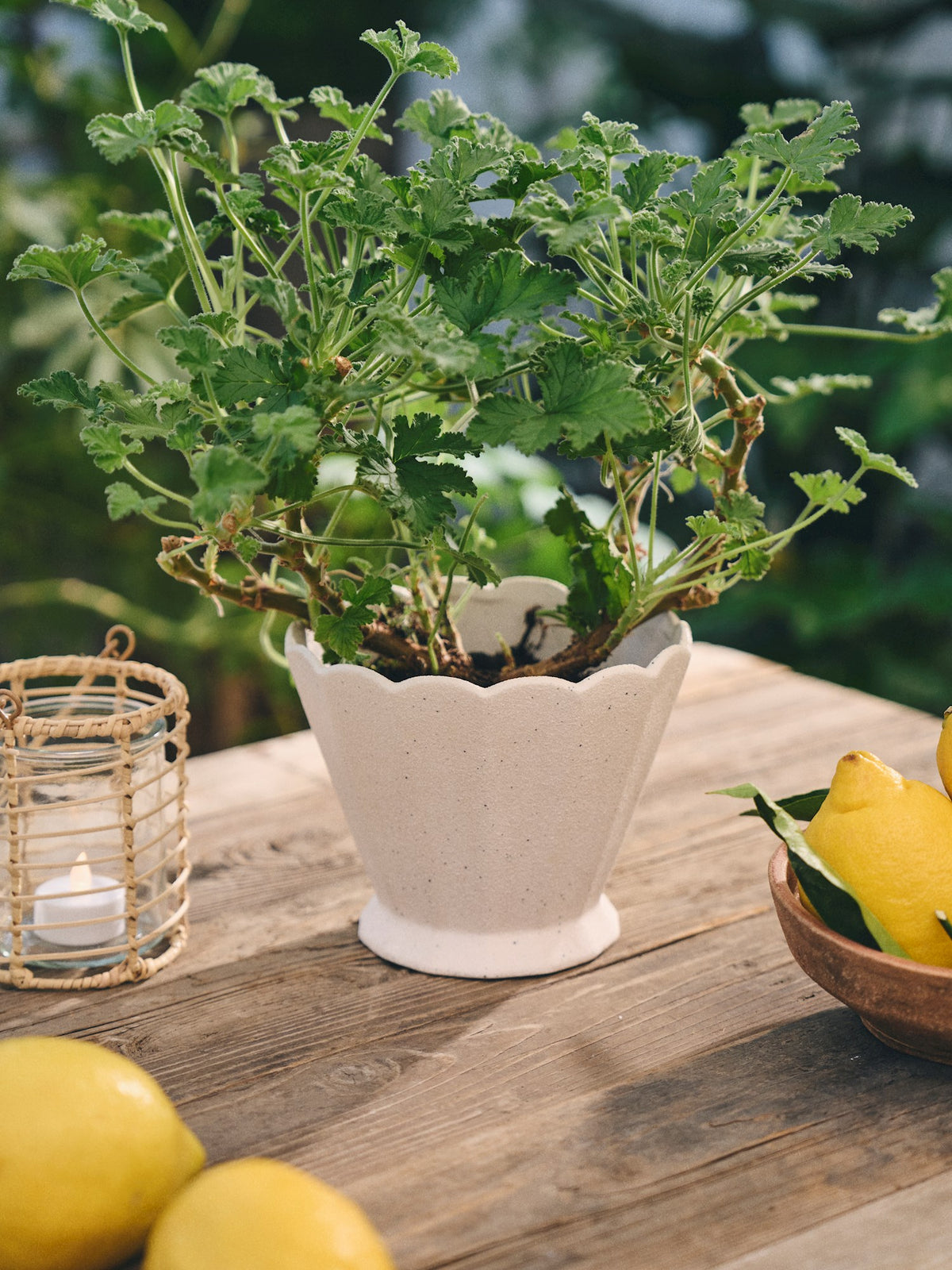Flowerpot