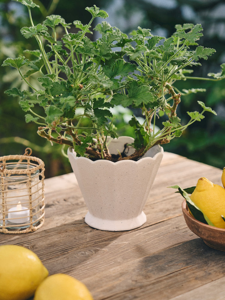 Flowerpot