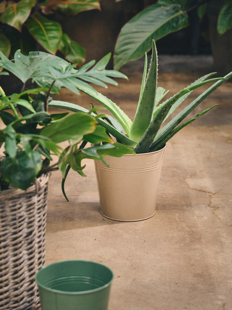 Flowerpot