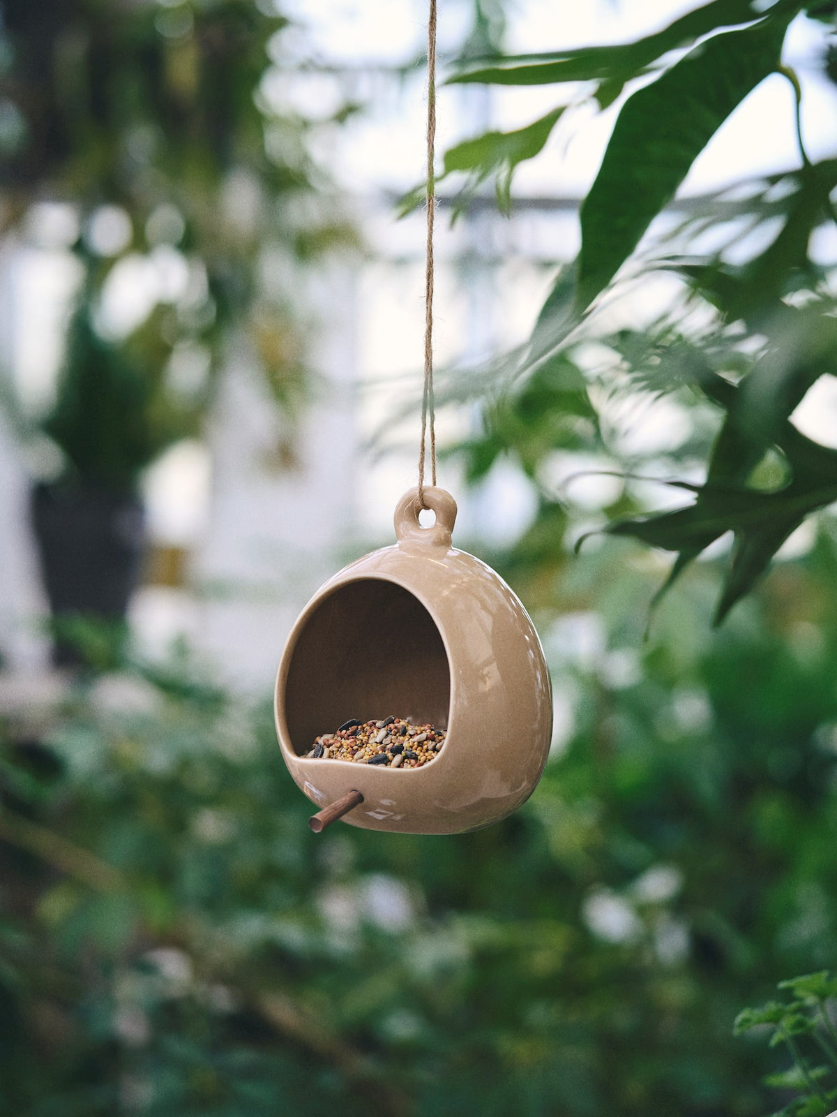 Bird feeder