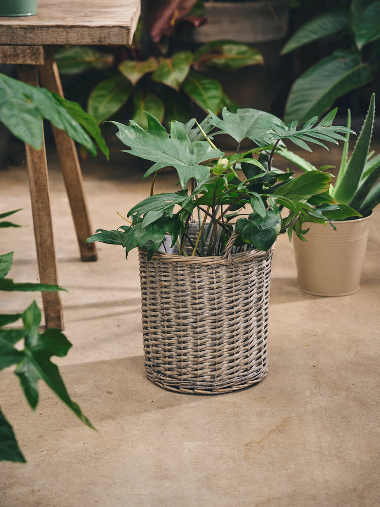 Willow flowerpot with handles
