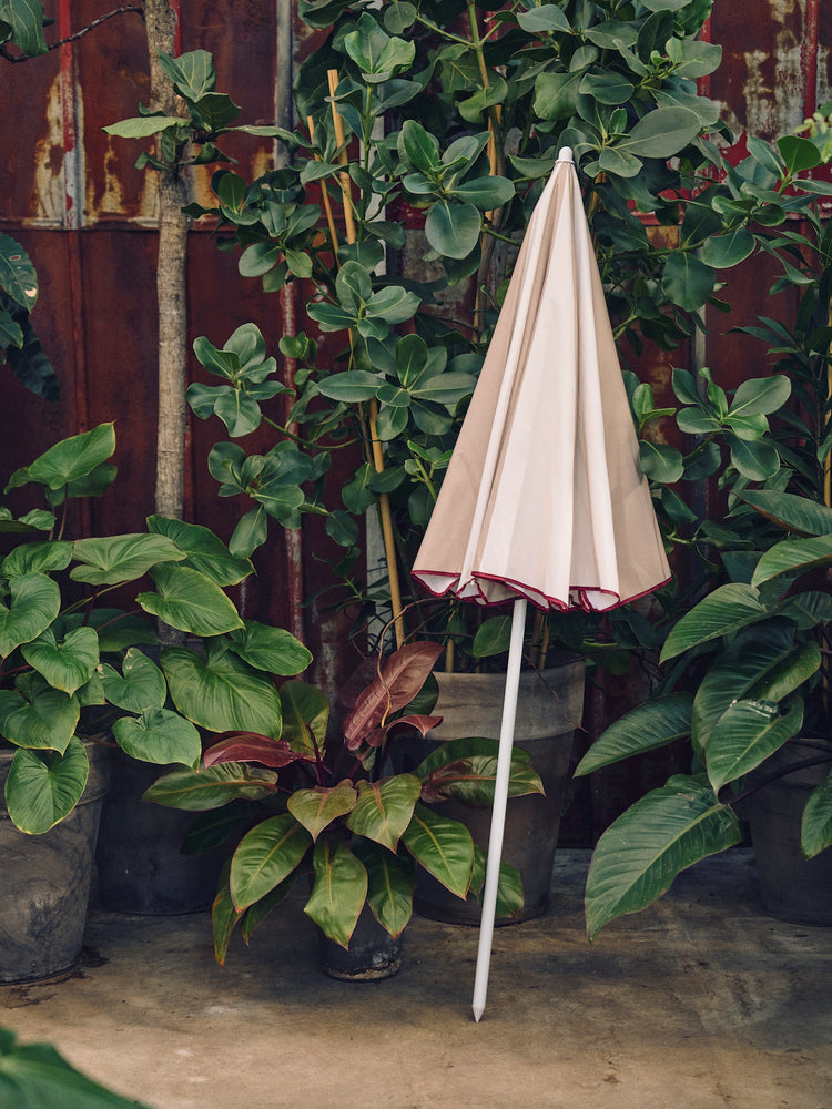 Parasol