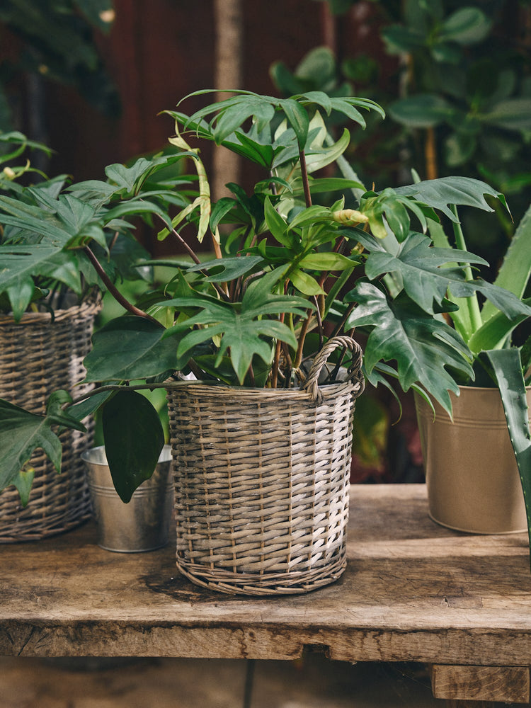 Willow flowerpot with handles