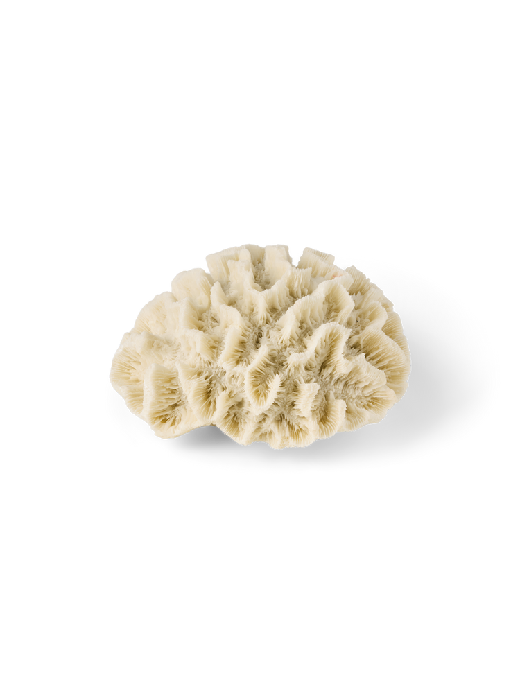 Deco coral sculpture