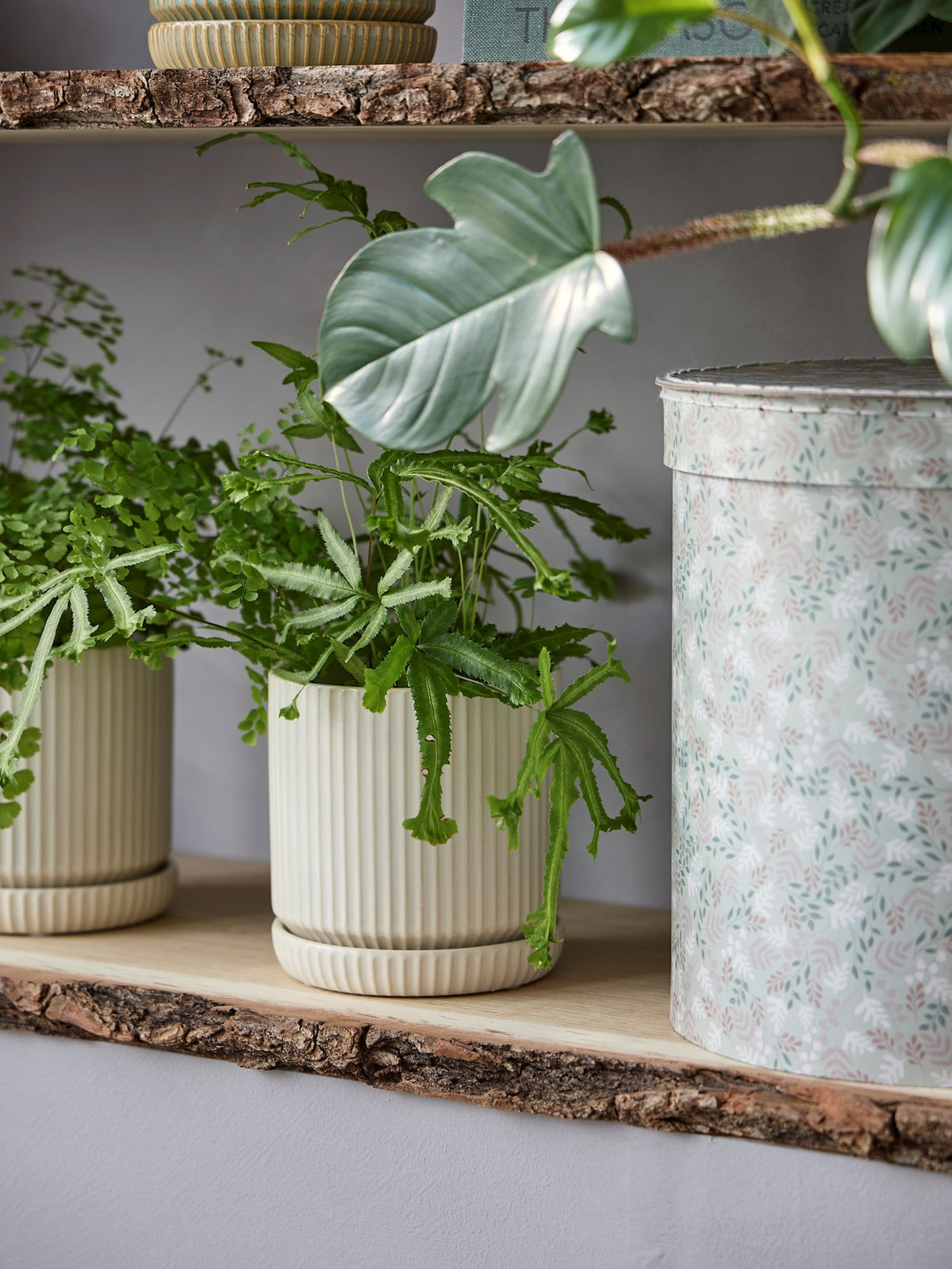 Flowerpot with saucer
