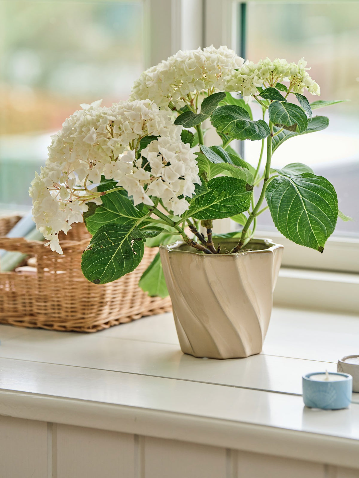 Flowerpot
