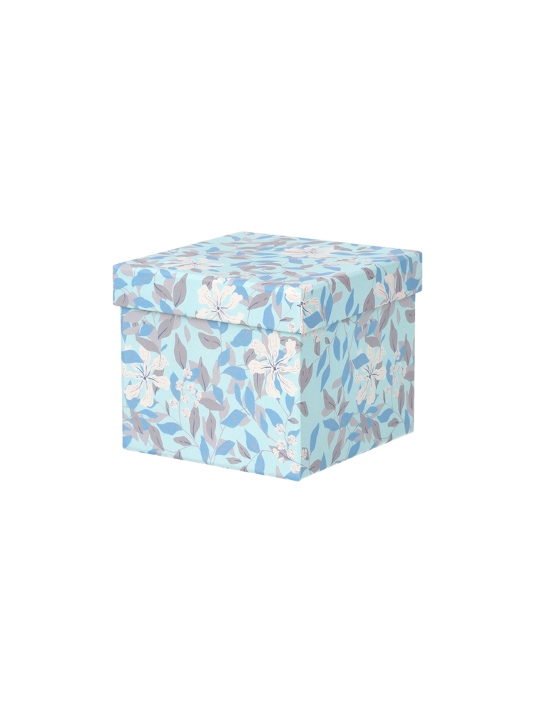 Storage box with lid