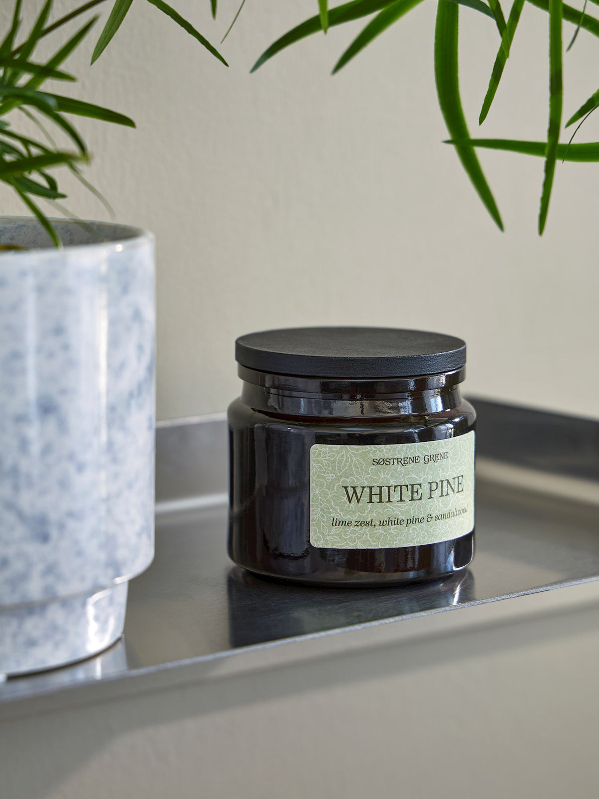 Scented candle White Pine