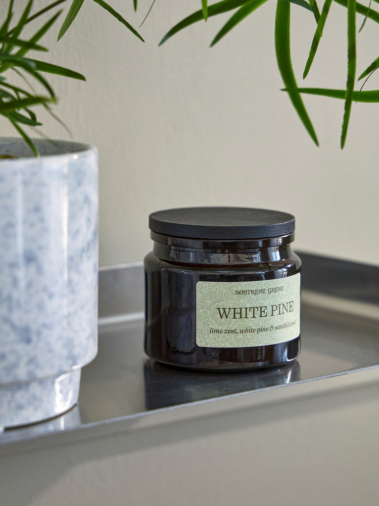 Scented candle White Pine