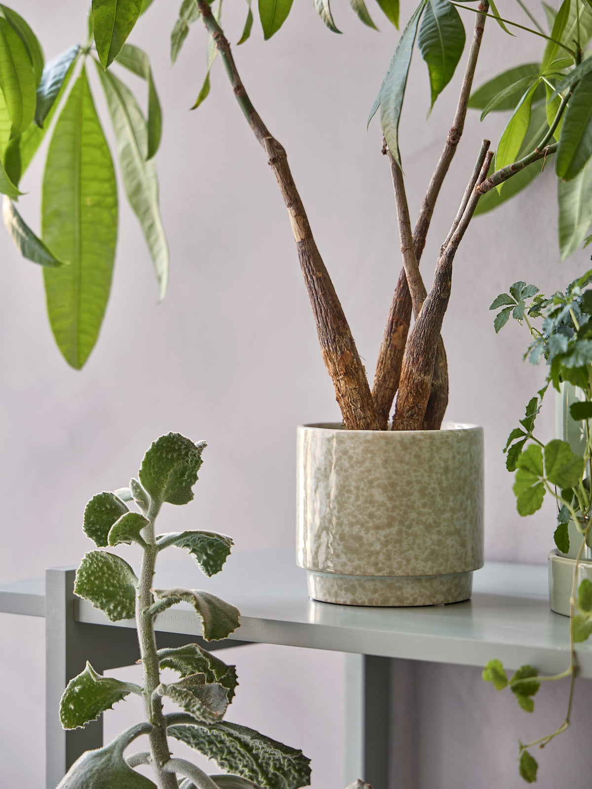 Flowerpot