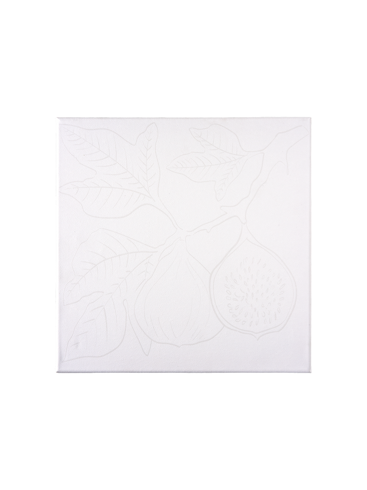 Canvas 30 x 30