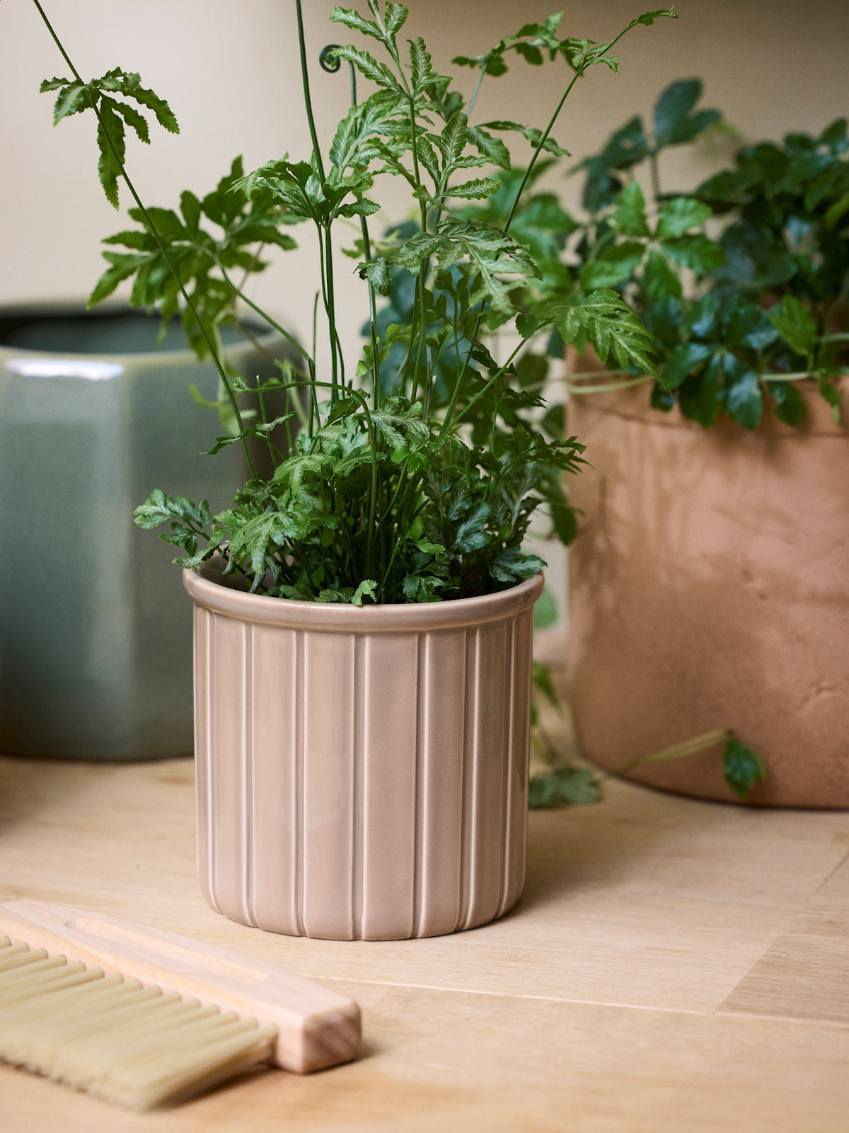 Flowerpot