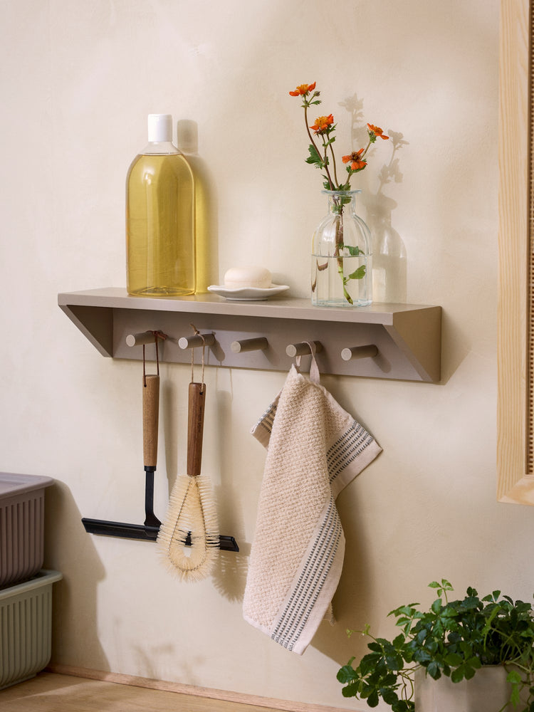 Shelf with hooks