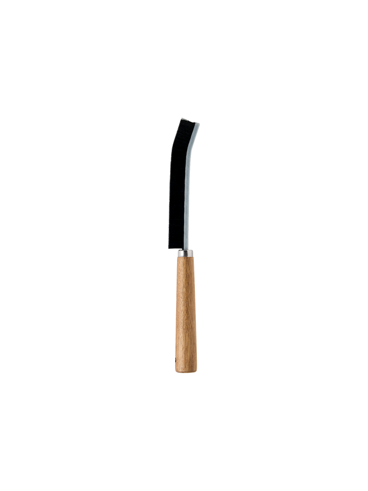 Cleaning brush