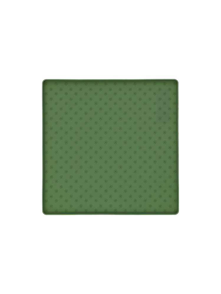 Dish tray