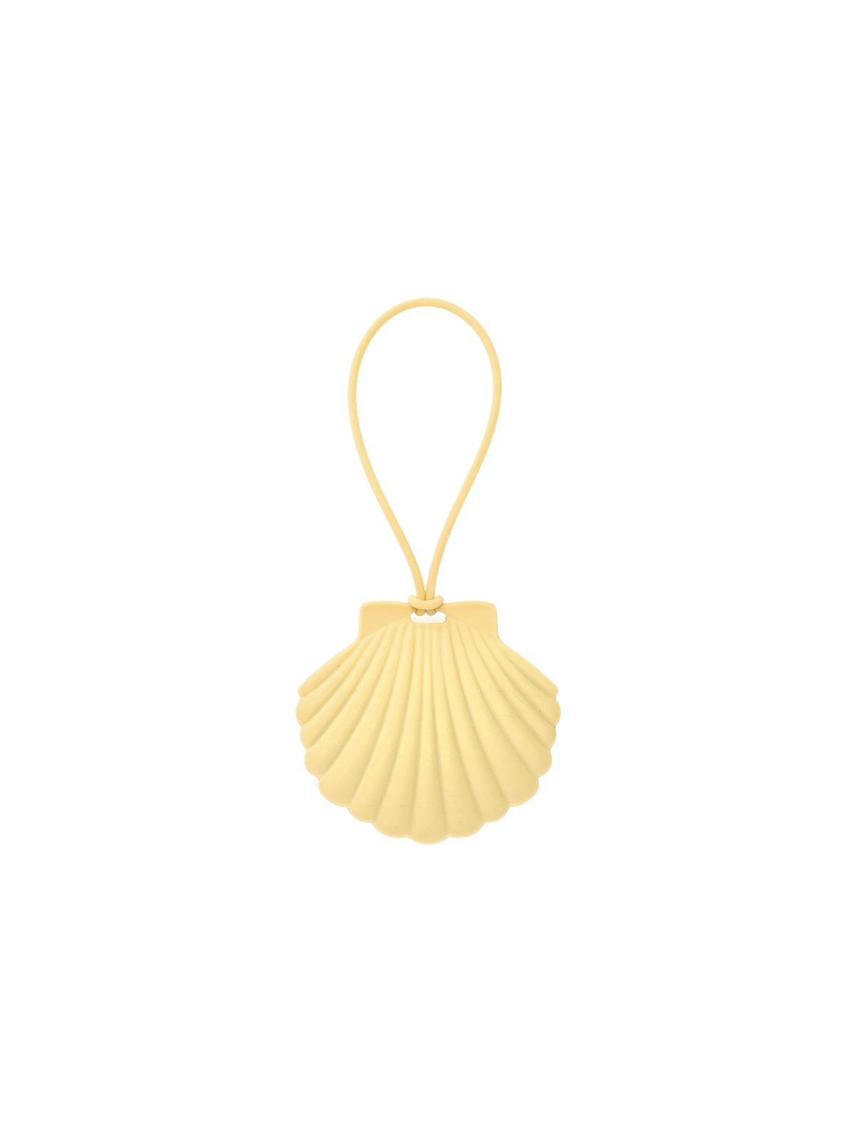 Luggage name tag