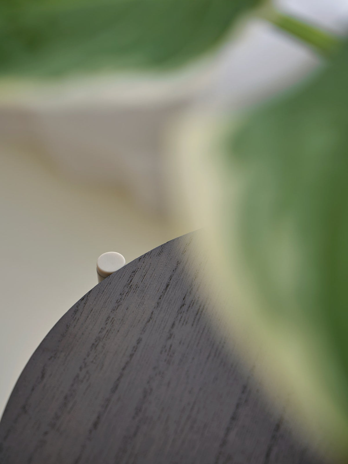 Plant stand