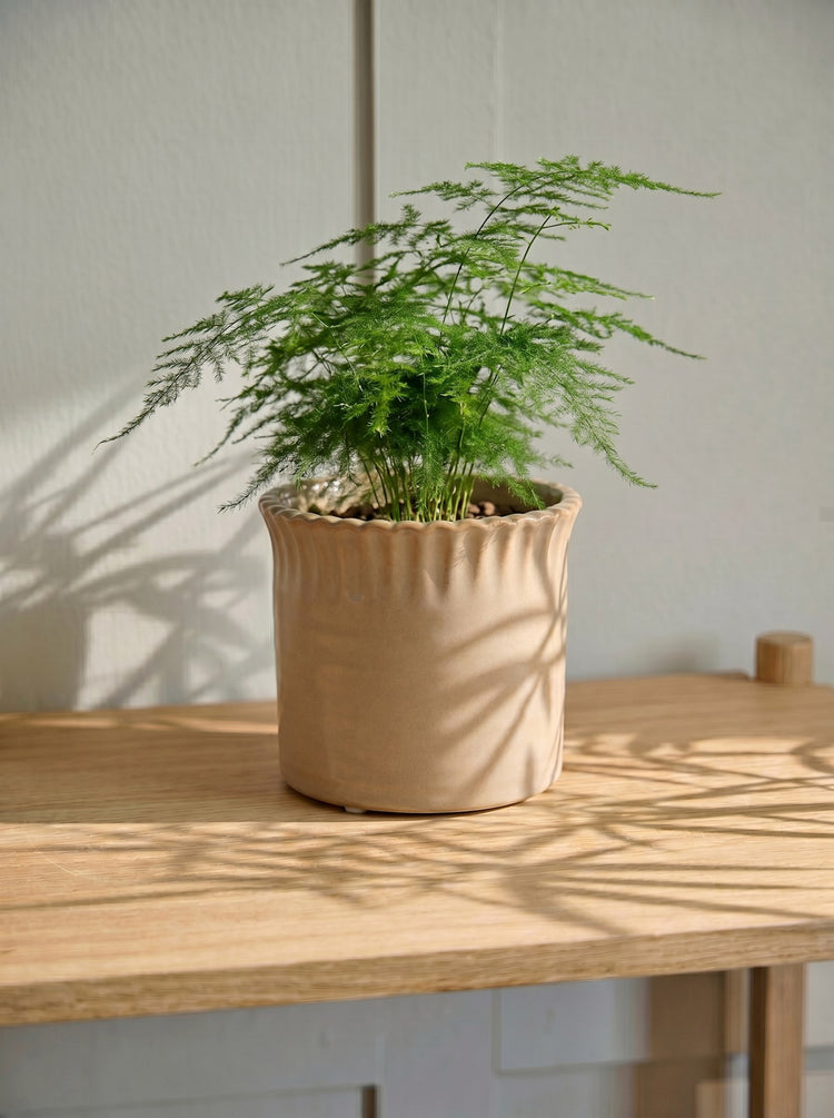 Flowerpot