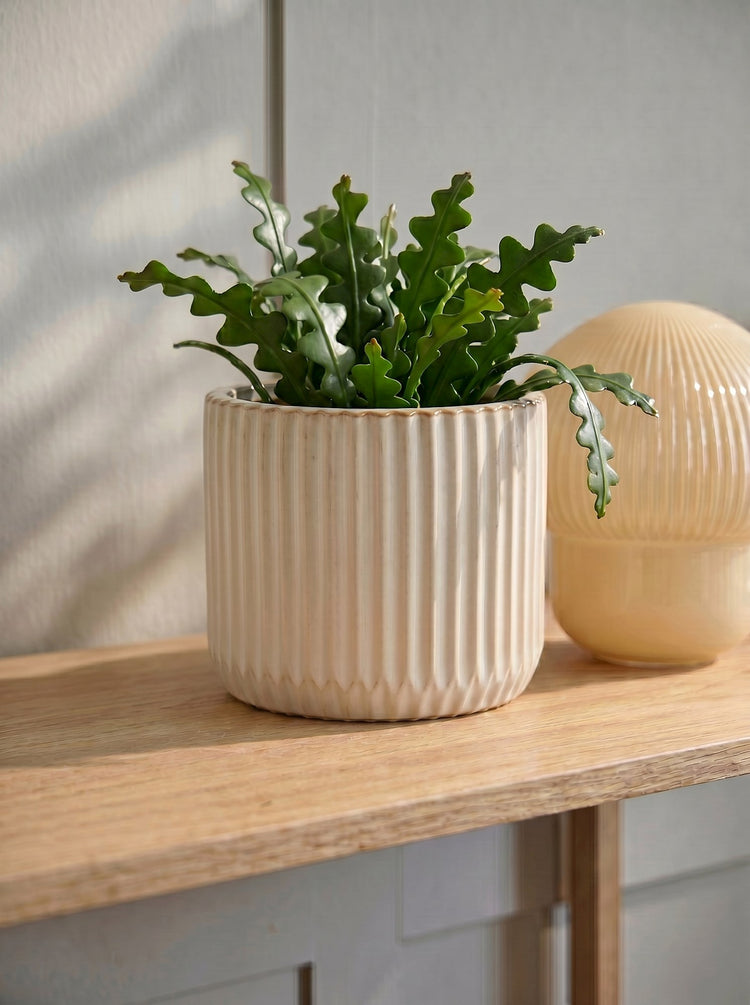 Flowerpot