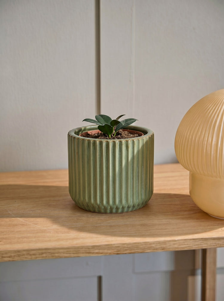 Flowerpot