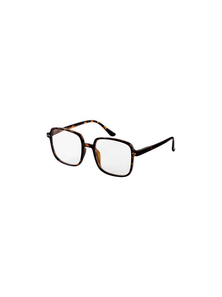 Reading glasses +3