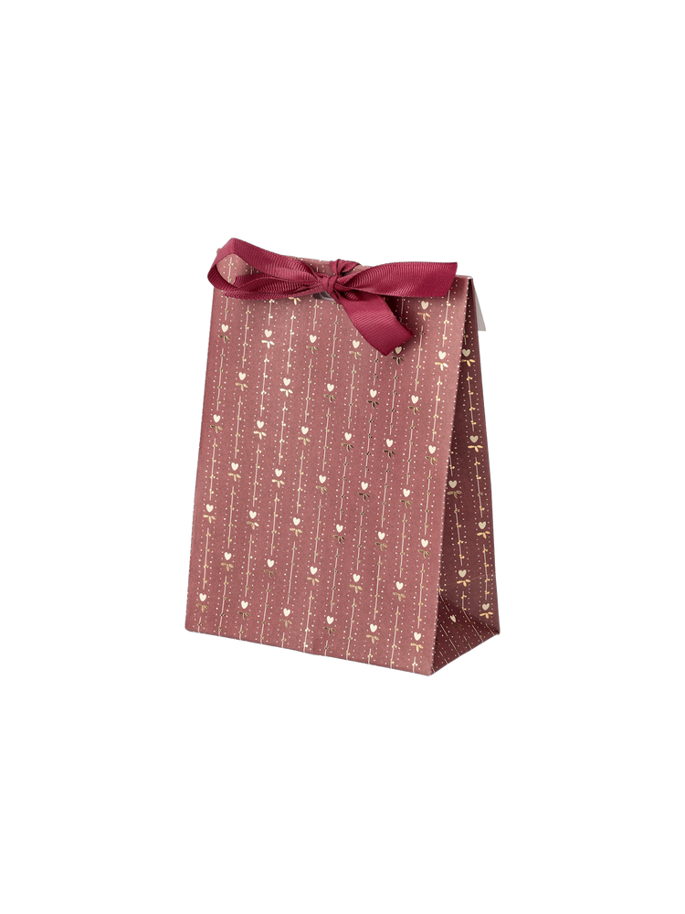Gift bag with ribbon