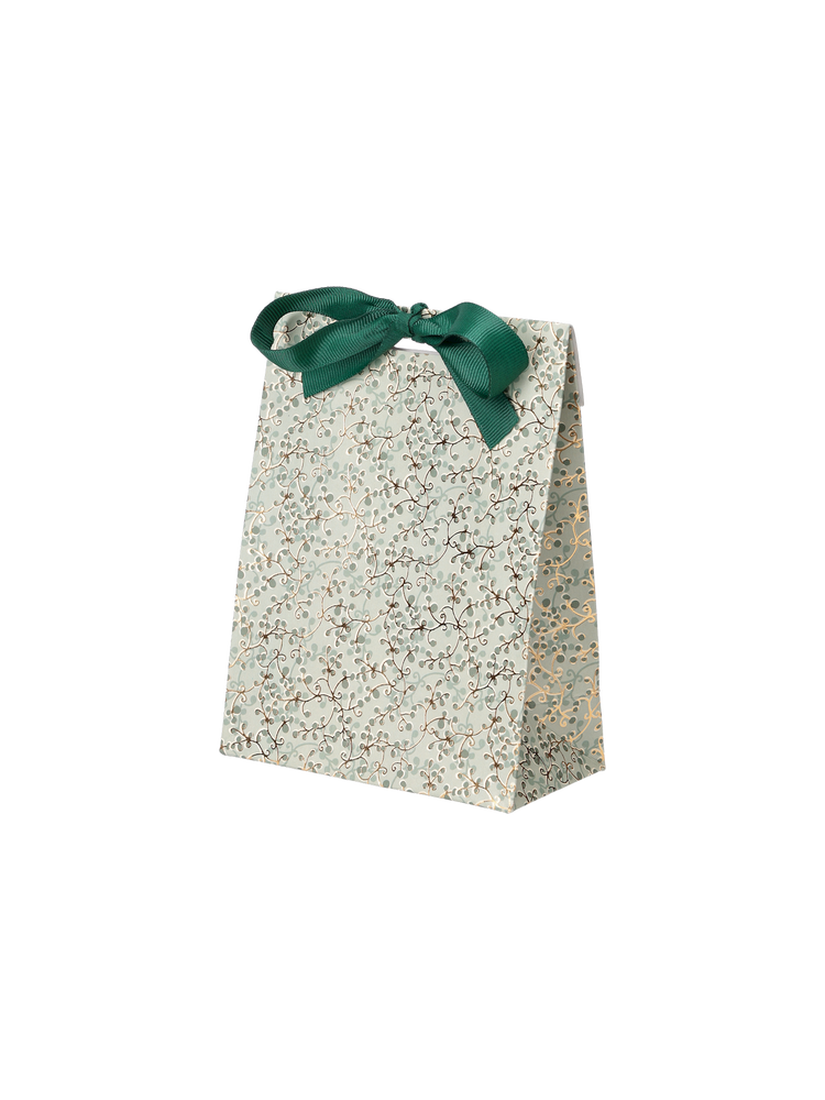 Gift bag with ribbon