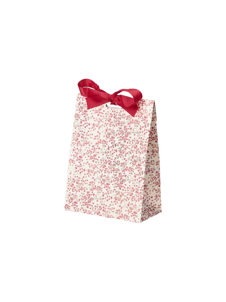 Gift bag with ribbon