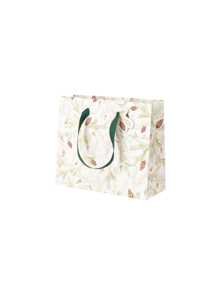 Gift bag with handles and tag