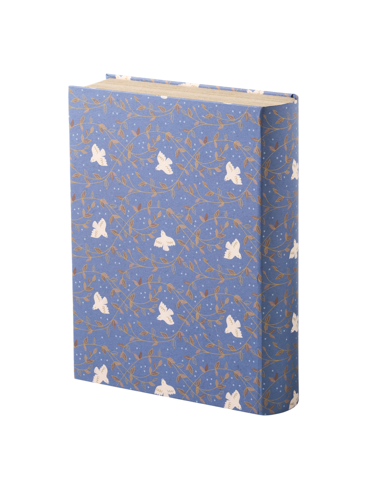 Book storage box
