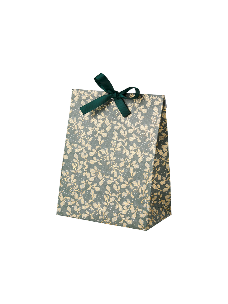Gift bag with ribbon