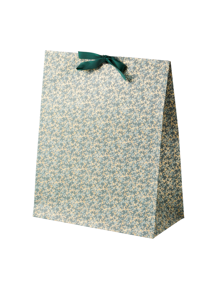 Gift bag with ribbon