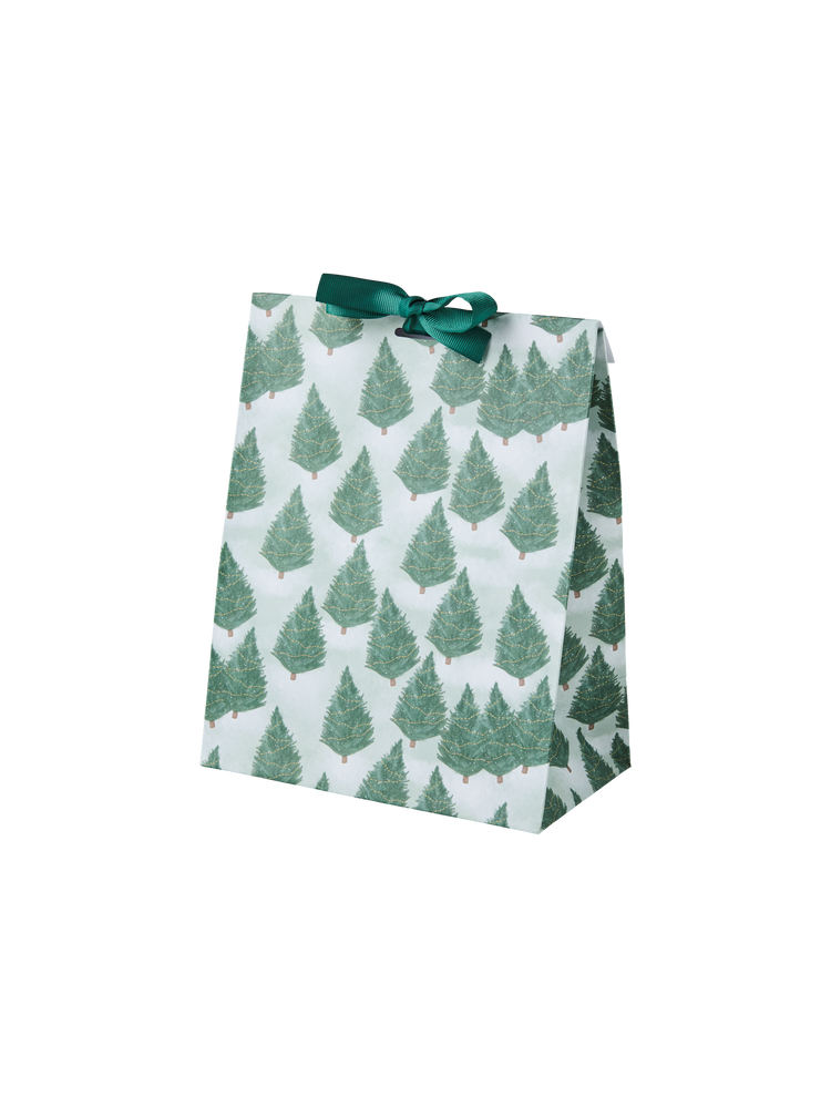 Gift bag with ribbon