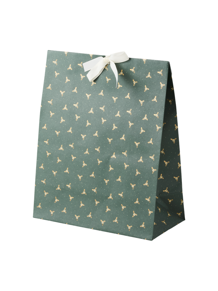 Gift bag with ribbon