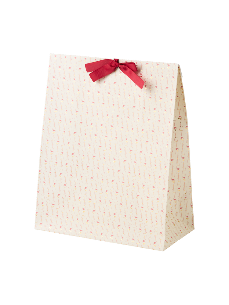 Gift bag with ribbon