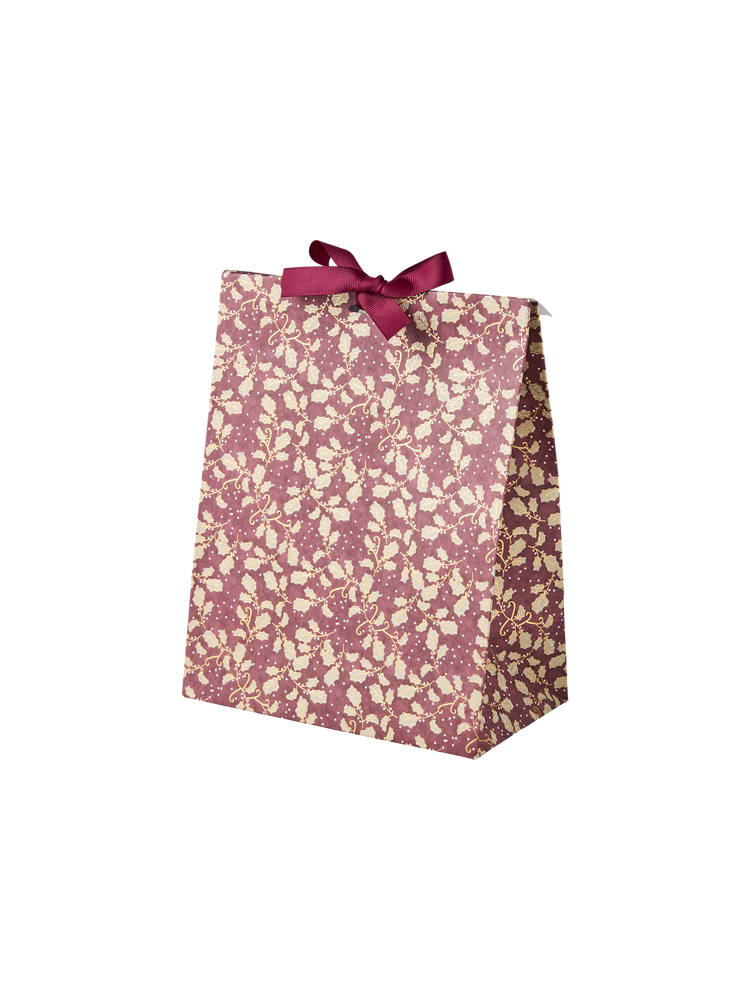 Gift bag with ribbon