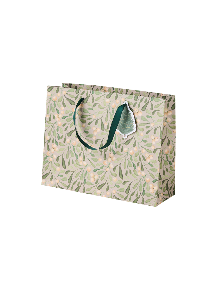 Gift bag with handles and tag