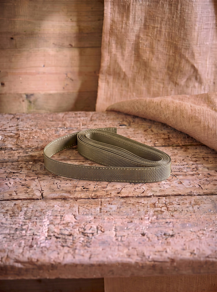 Ribbon