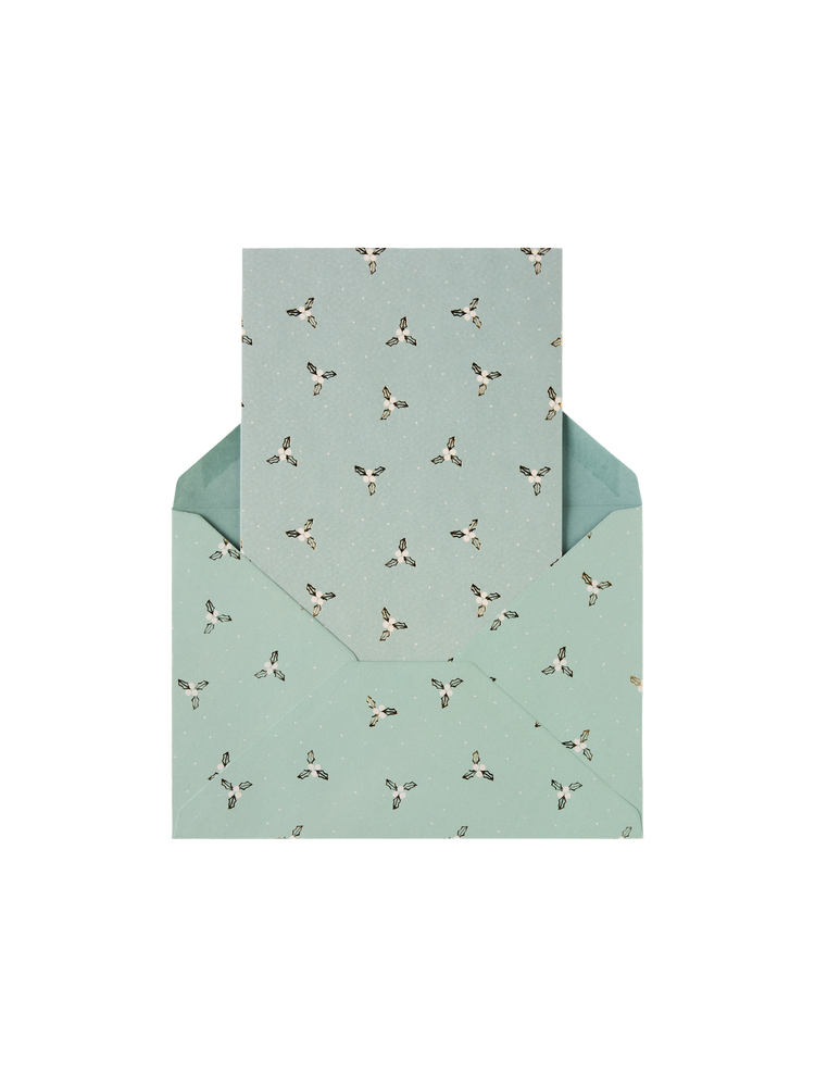 Box with 6 cards