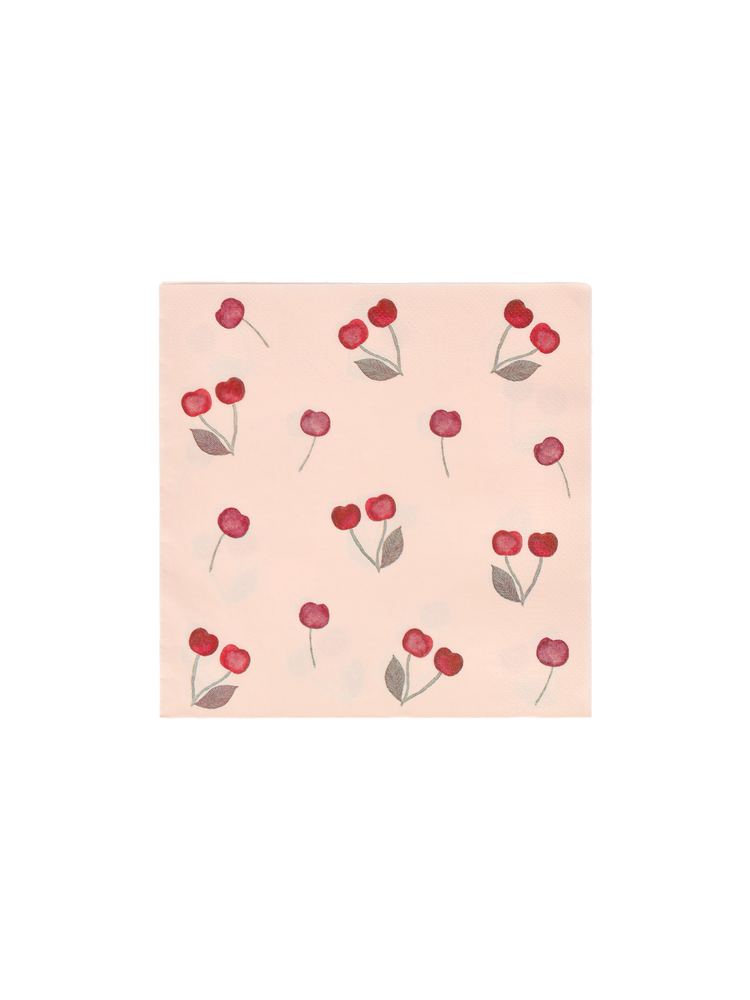 Napkins 33 x 33