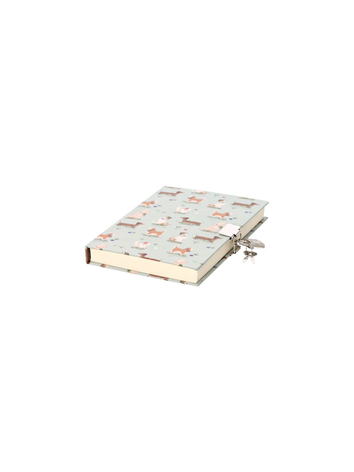 Diary with lock