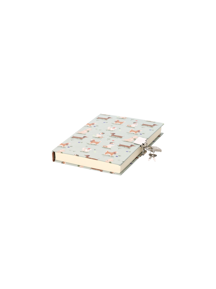 Diary with lock