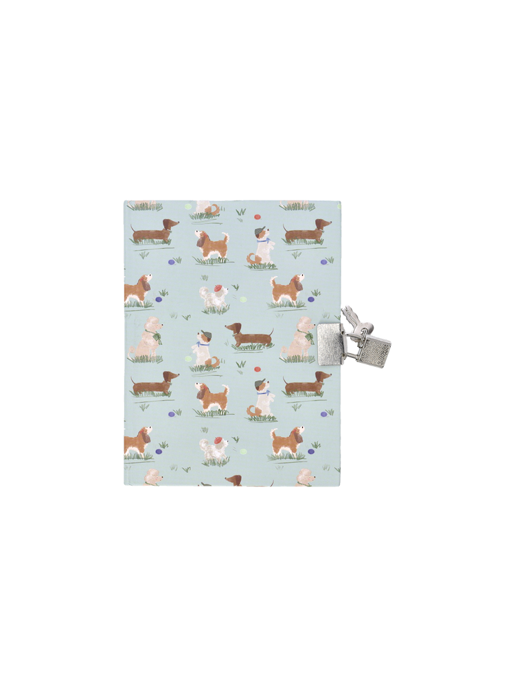 Diary with lock