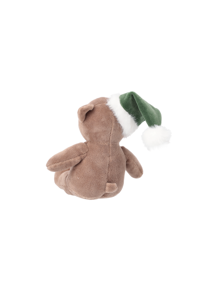 Teddy with Christmas hat